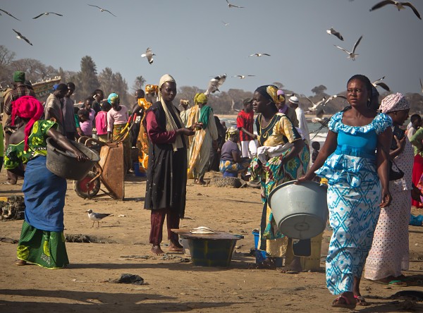 Gambia, Tanji Fish Market Gambia, Tanji Fish Market