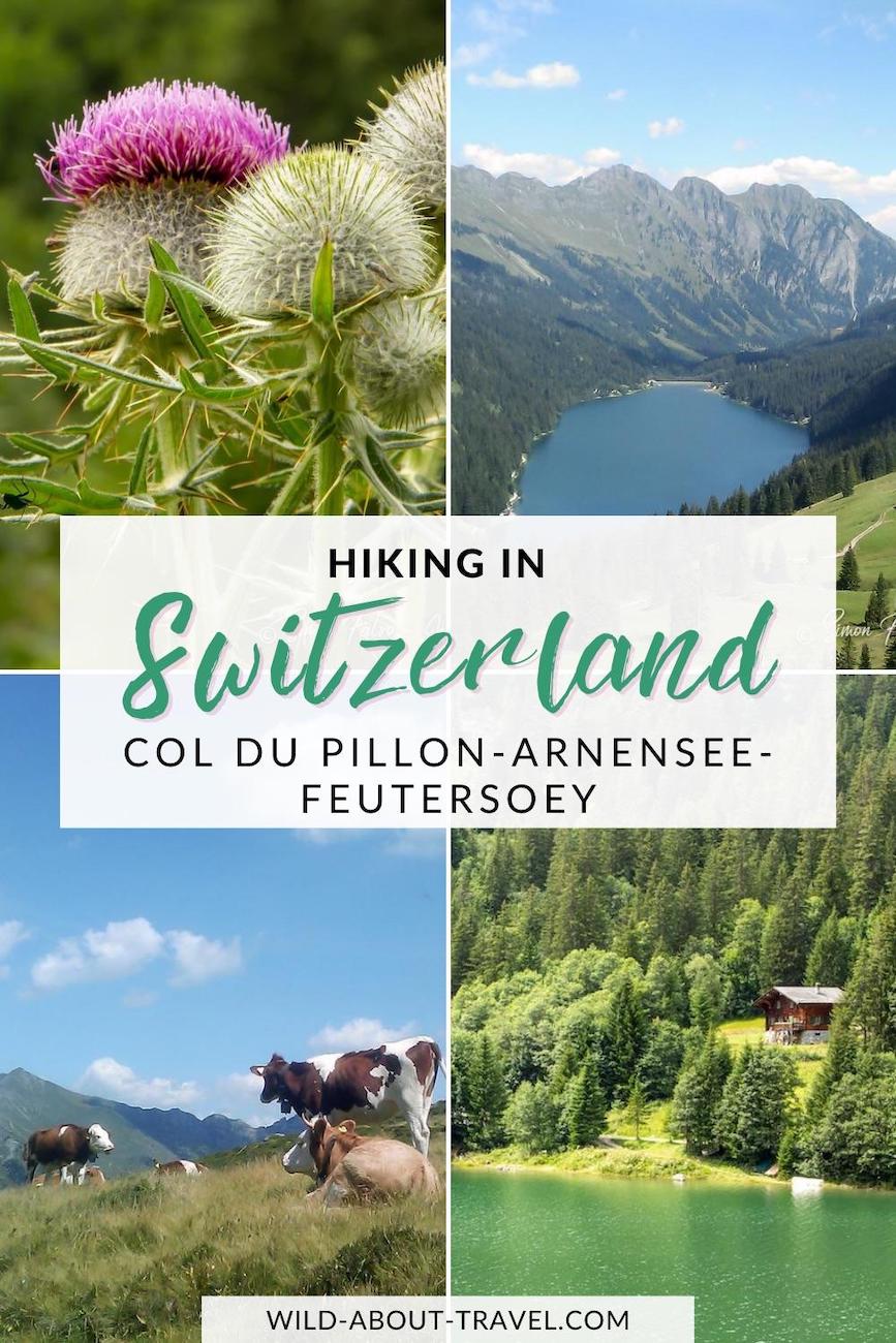 Hiking To Arnensee, Switzerand