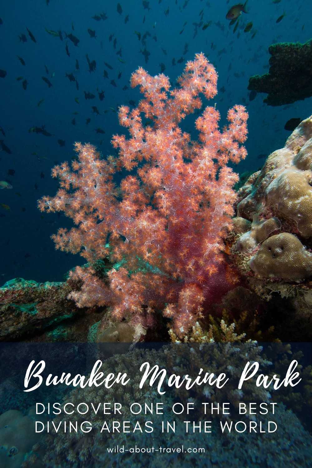 Diving Bunaken Marine Park