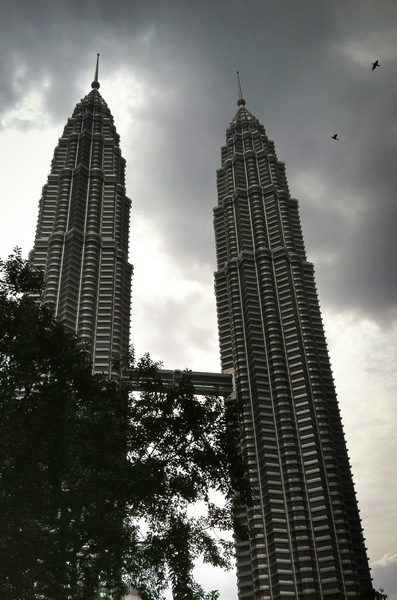 Petronas Towers