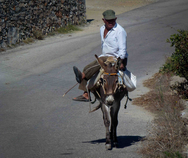 Riding the Donkey