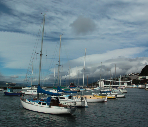 Wellington Boats