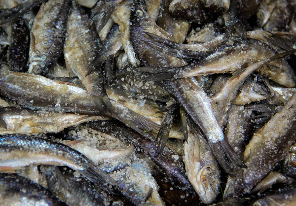 Burma Market, Preserving Fish With Salt