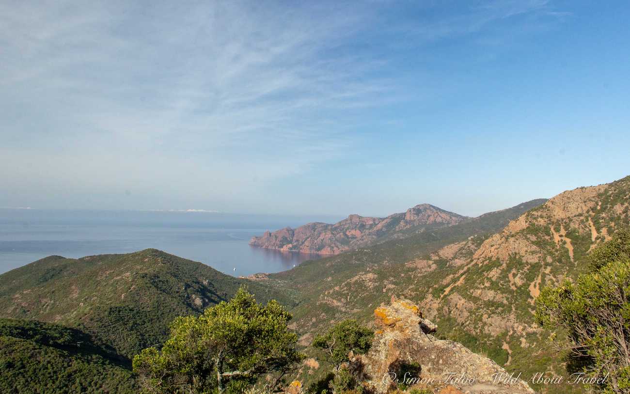 Corsica - Calanques de Piana