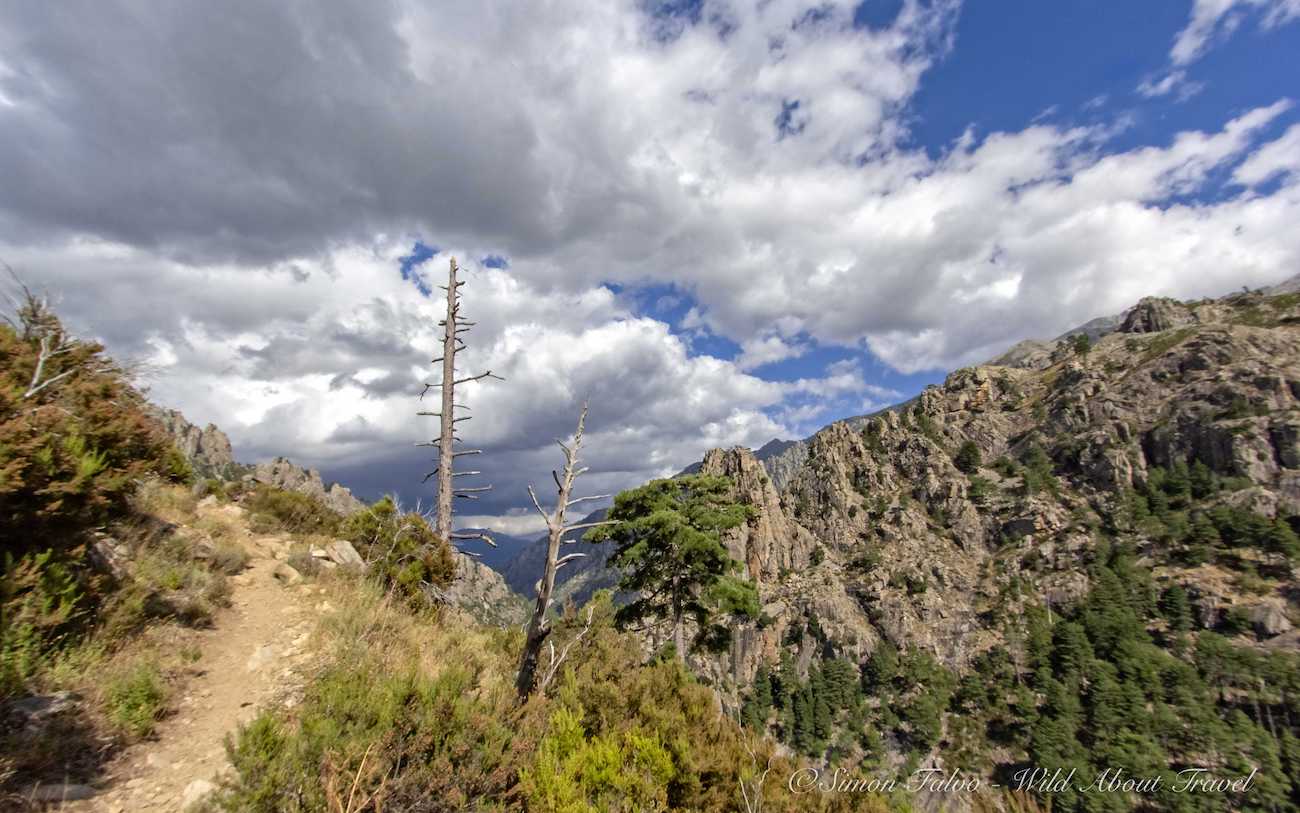 Corsica - Restonica Valley