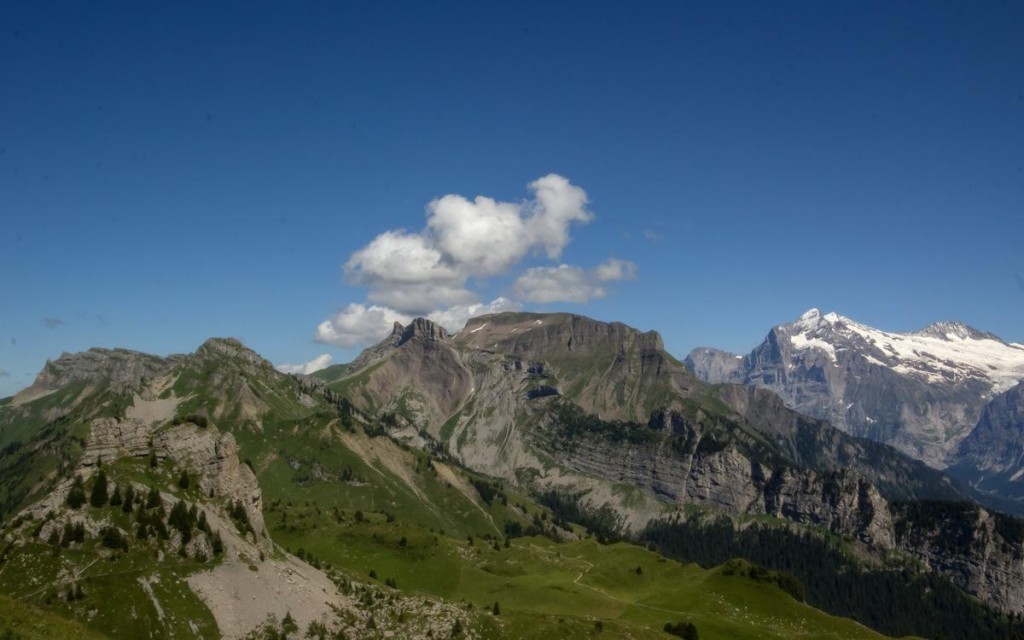 Switzerland Scenic Train Routes: Schynige Platte Vintage Railway