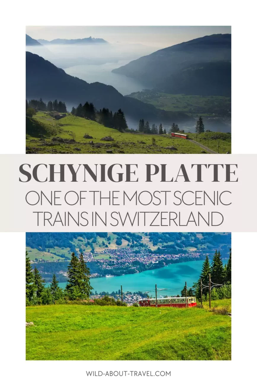 Schynige Platte Train