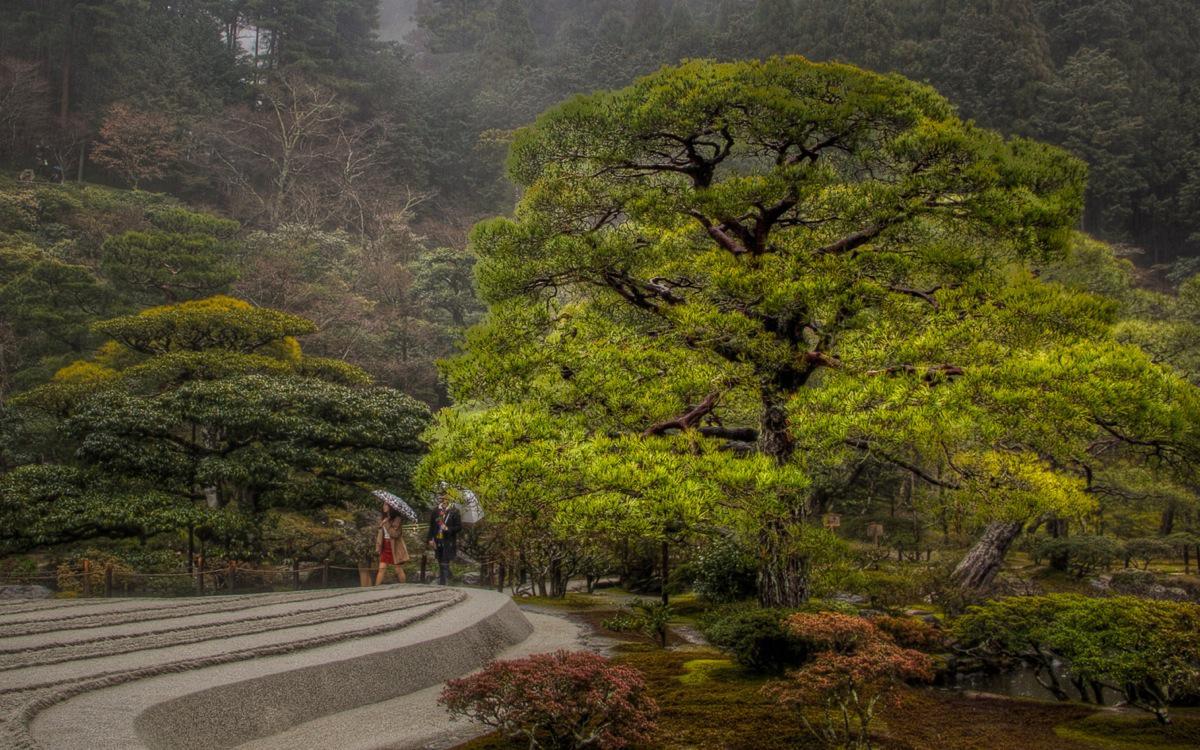 kyoto silver pavilion gardens