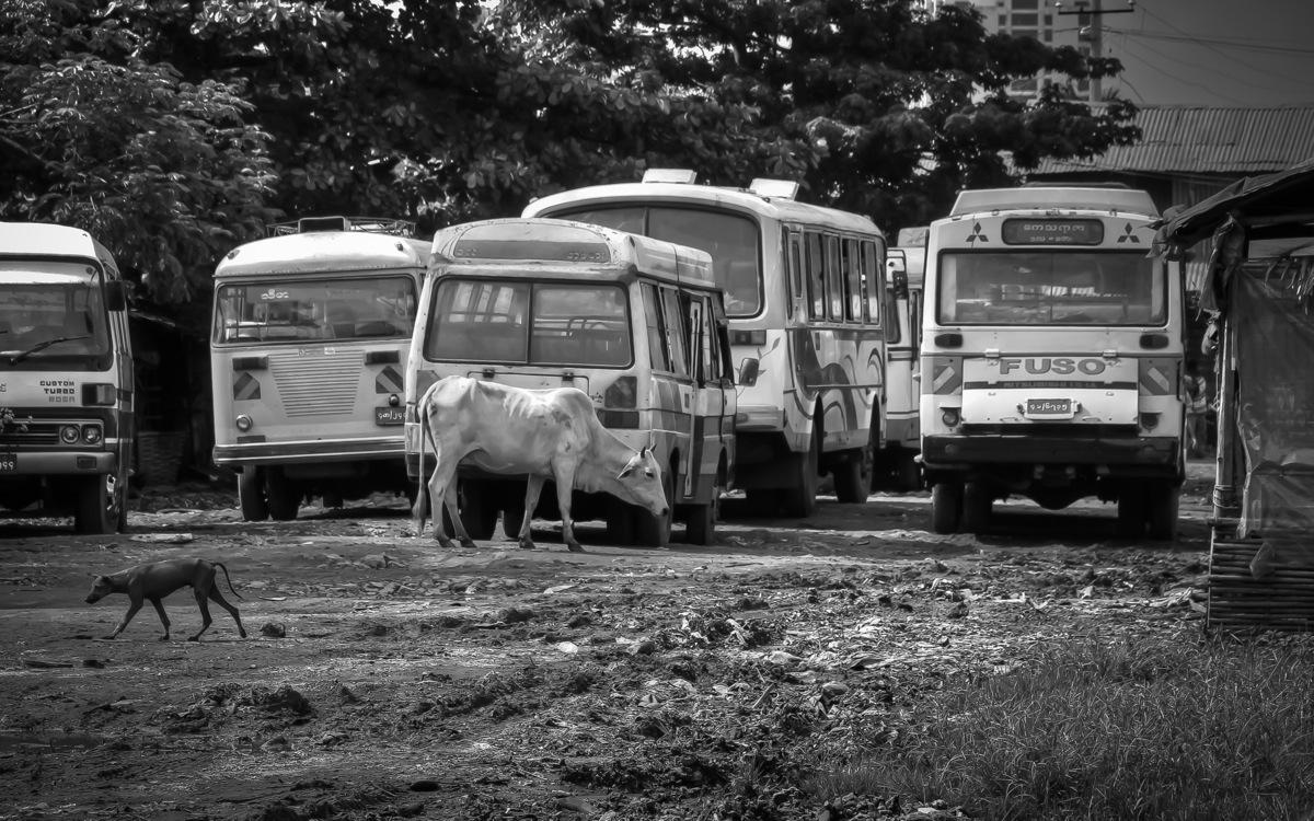 Yangon, Dala Township 