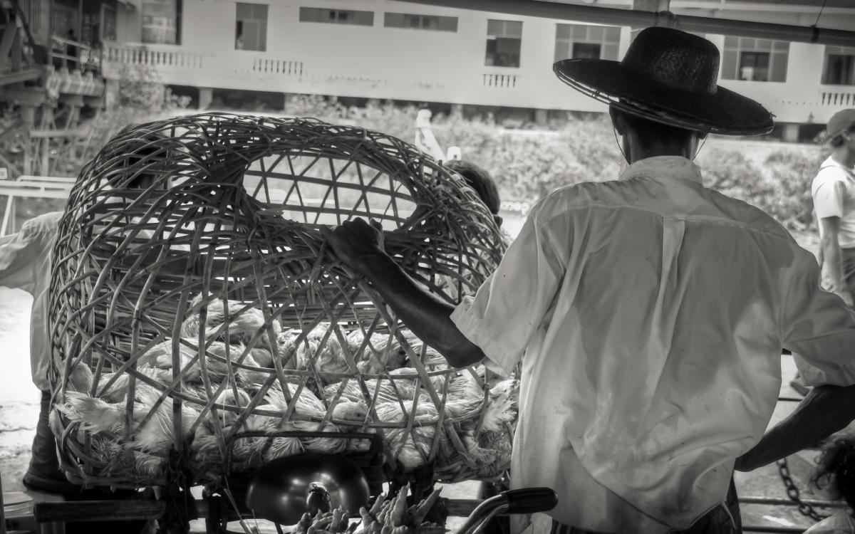 On the Ferry Yangon-Dala