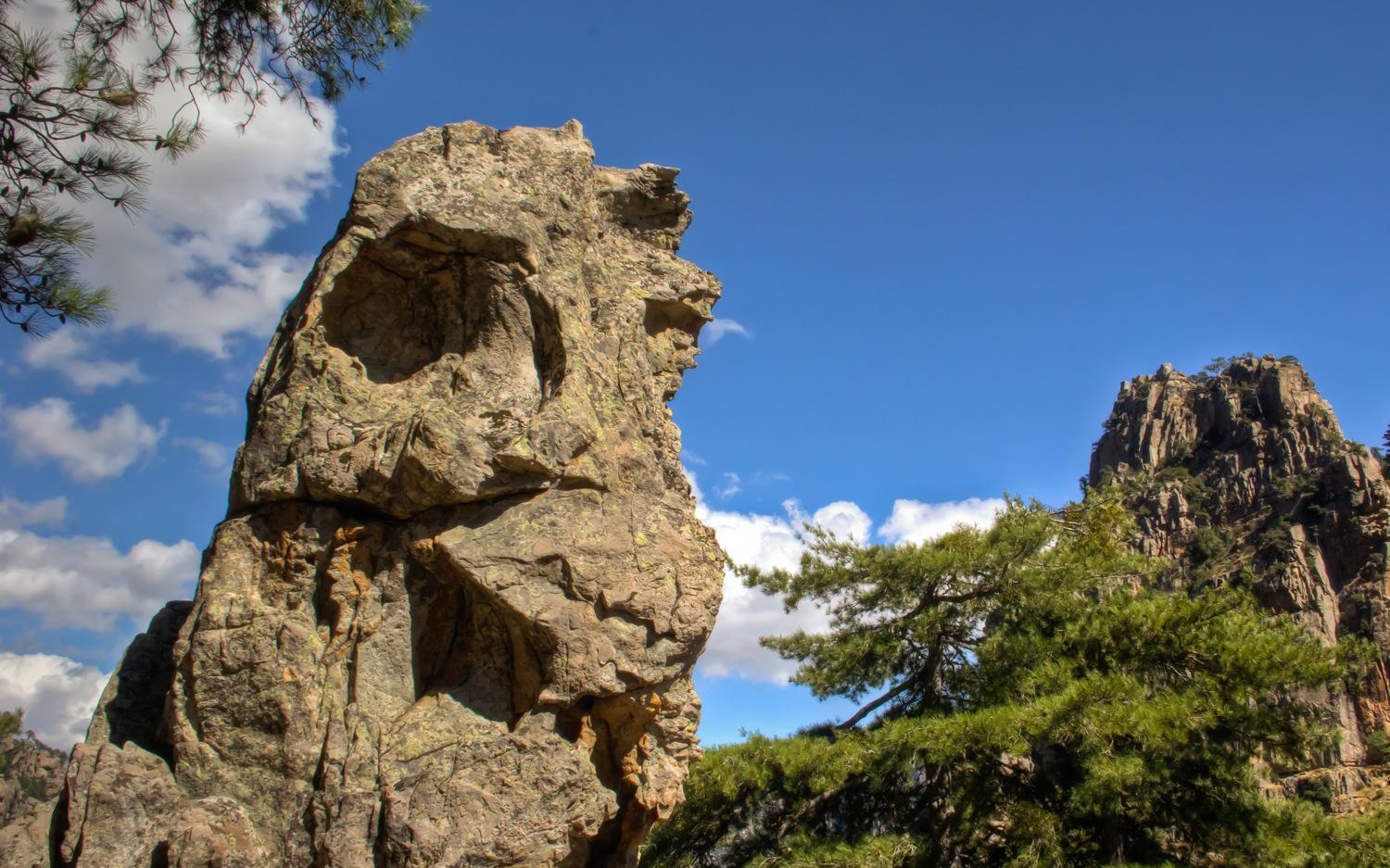 Rocks Sculpted by the Wind