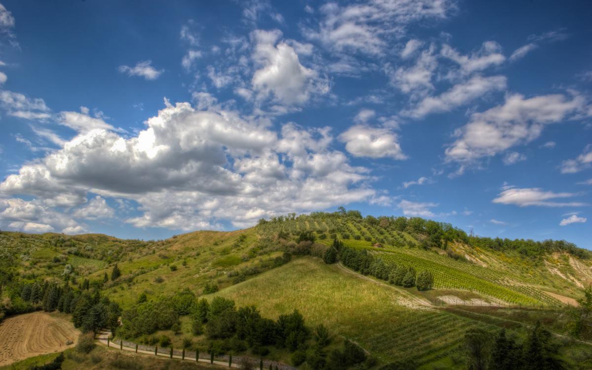 The Hills of Brisighella