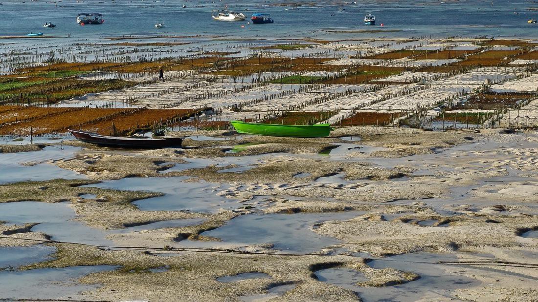 Fishing Boats at Low Tide - Cover