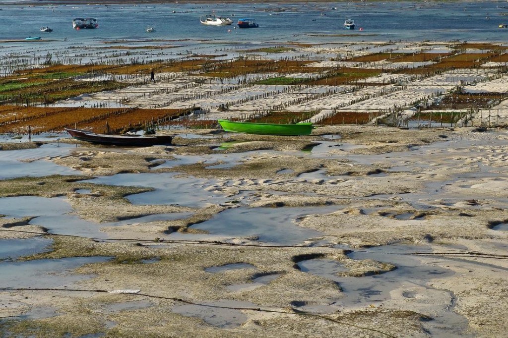 Fishing Boats at Low Tide in Nusa Lembongan