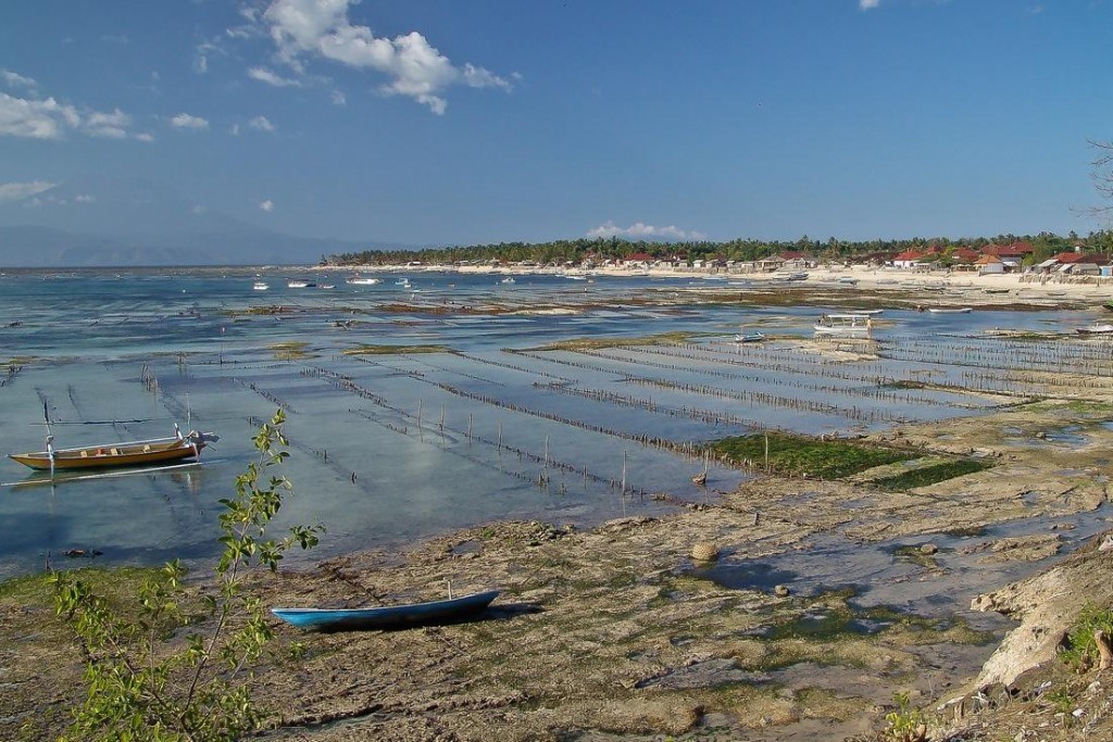 Low Tide in Nusa Lembongan