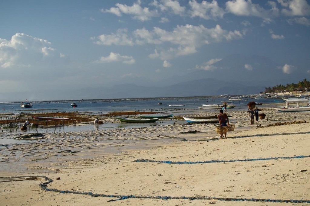 Nusa Lembongan, Beach at Low Tide