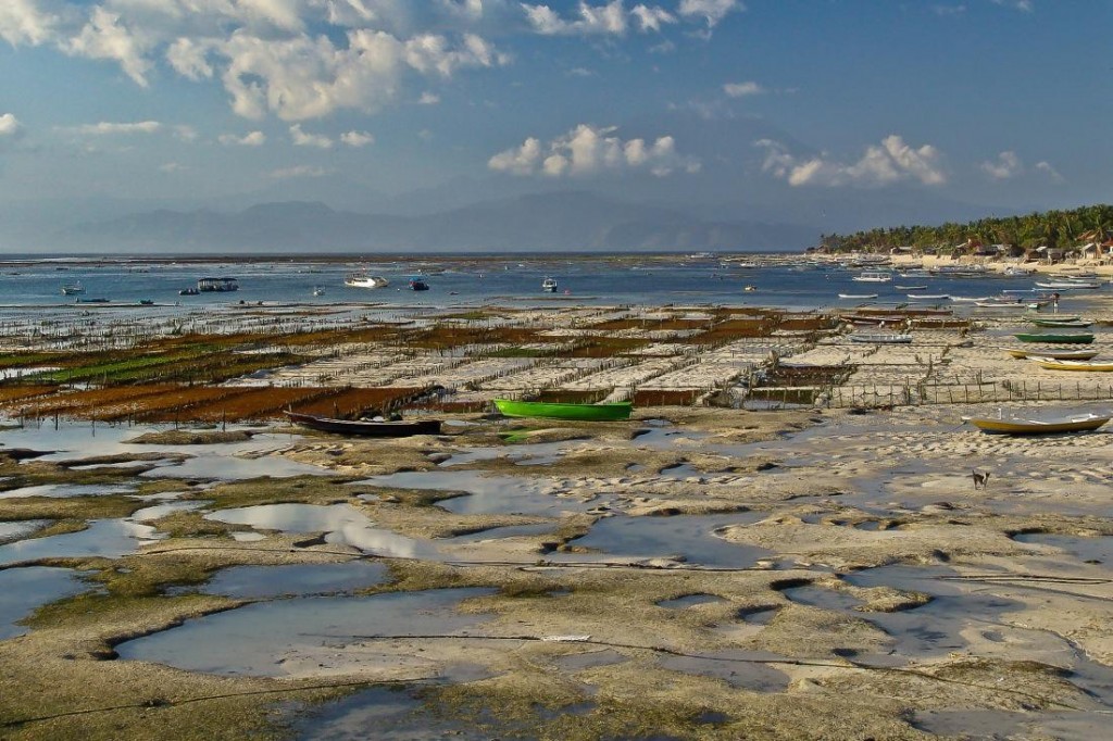 Nusa Lembongan, Boats and Sand at Low Tide