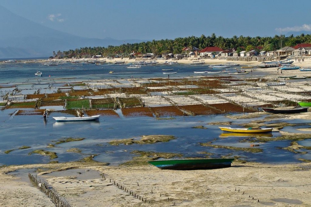 Nusa Lembongan, Fishing Boats at Low Tide