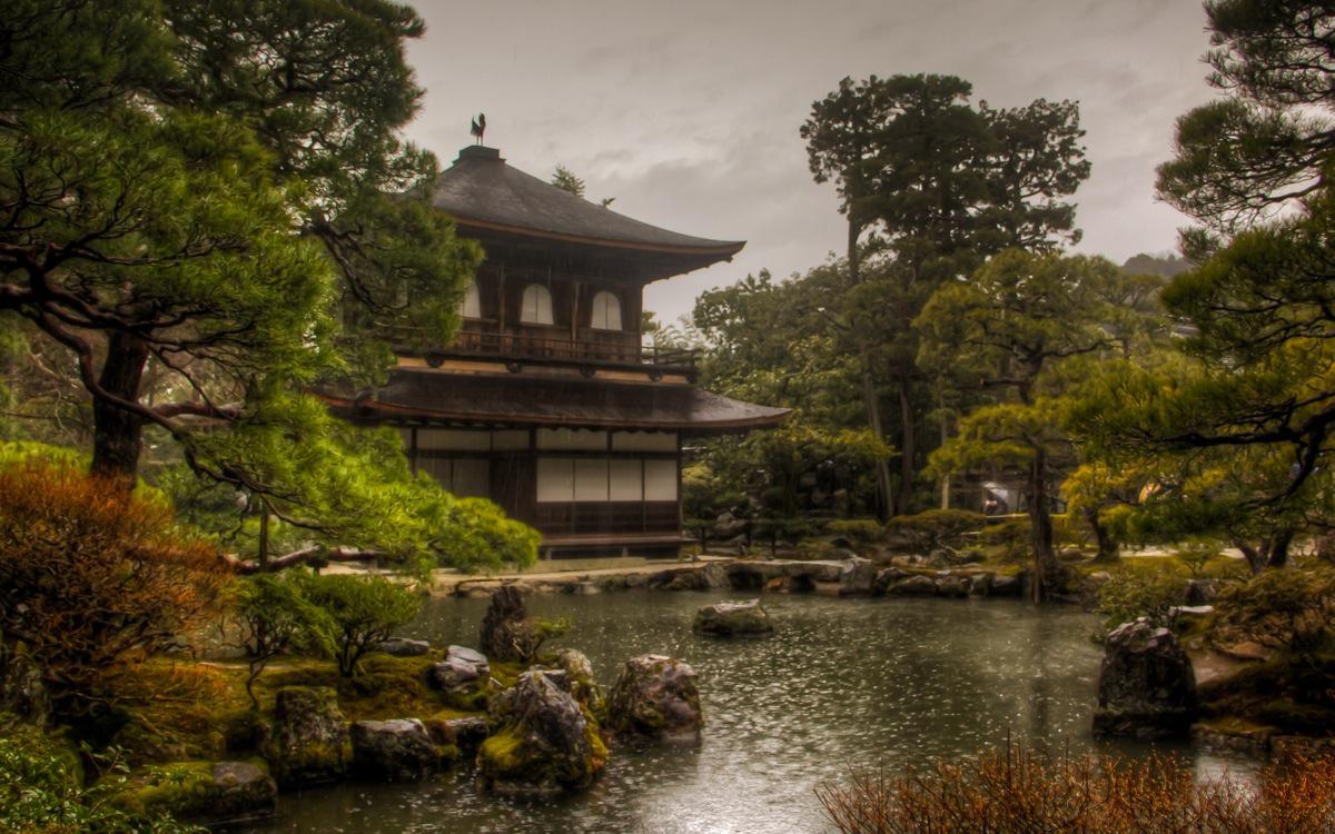 The Treetop Temple Protects Kyoto  Nature desktop, Nature desktop