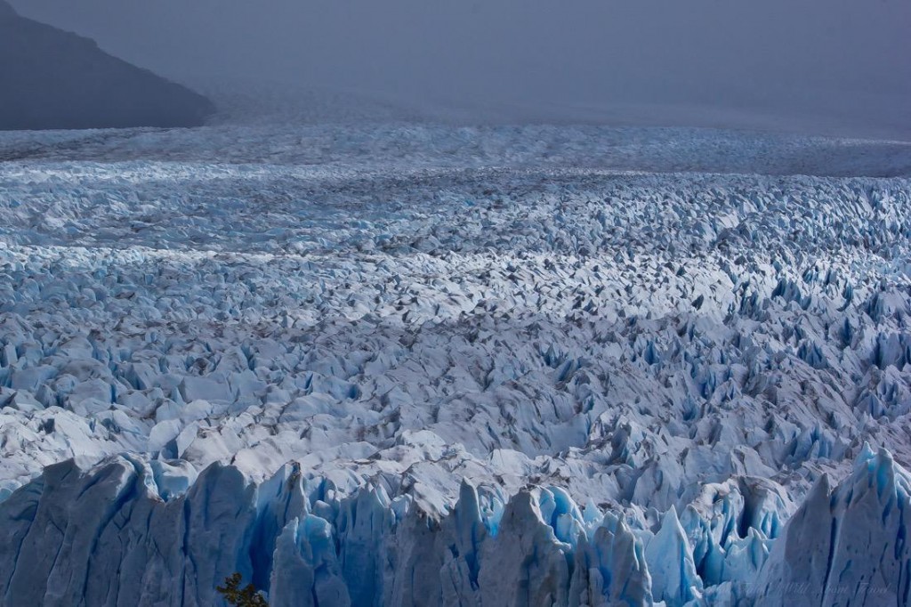 Argentina, Perito Moreno Glacier-22