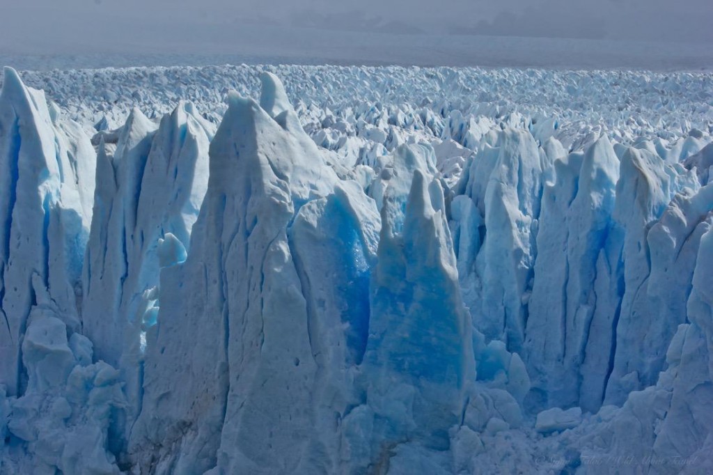 Argentina, Perito Moreno Glacier-28