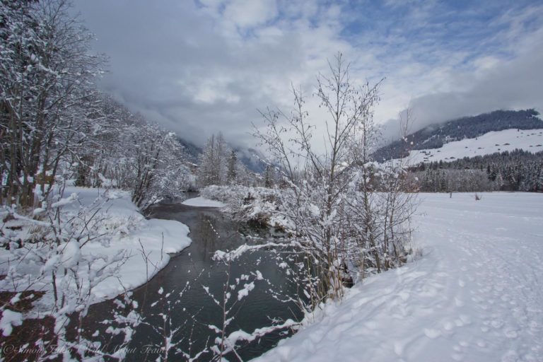 Switzerland, Lauenen in Winter
