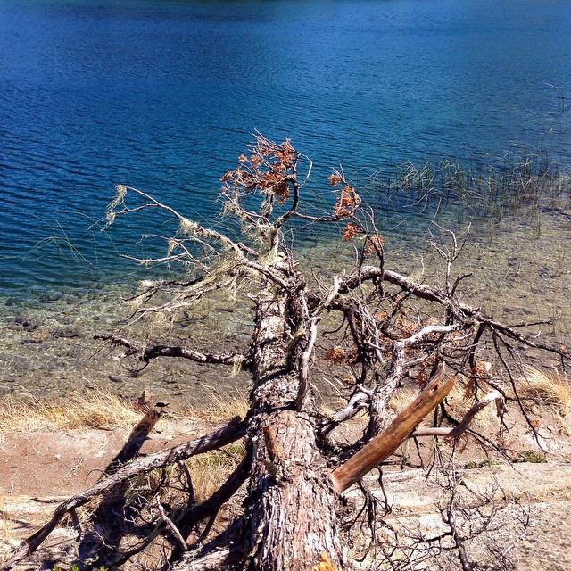 Bariloche, Blue Lago Moreno