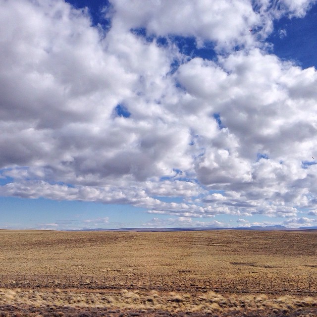 Patagonia, The Steppe 