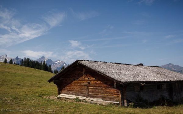 Hiking in Gstaad: The Beautiful Trail from Wispile to Lauenensee - Wild ...