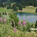 Hiking in Gstaad: The Beautiful Trail from Wispile to Lauenensee