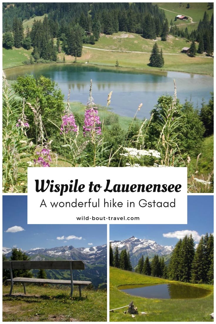 Wispile to Lauenensee Best Hike in Gstaad (2)