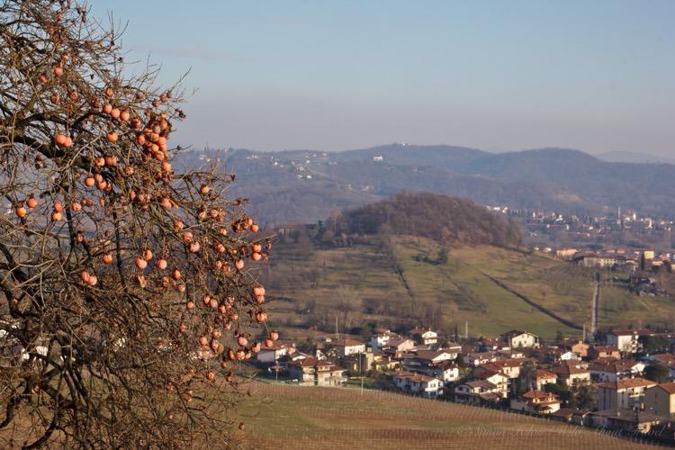 The Hills around Scanzorosciate