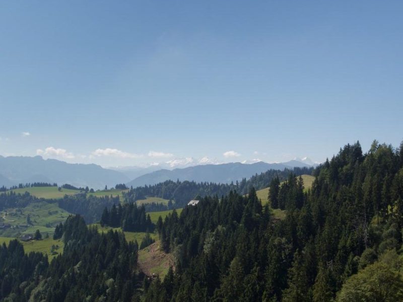 A Blissful Hike in the Charming Emmental Region