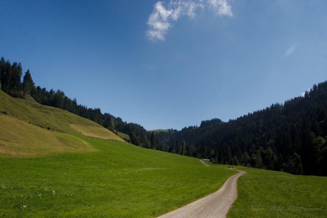 A Blissful Hike in the Charming Emmental Region