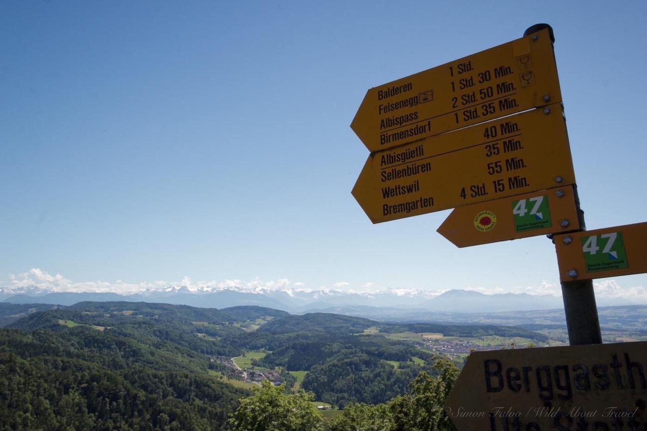 Hike Uetliberg-Felsenegg