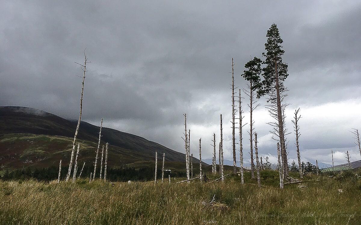 scotland-wild-remote-highlands