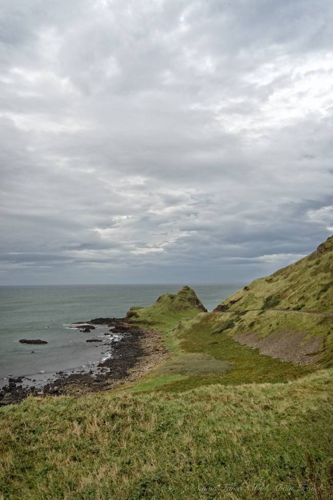 Wild and beautiful Giant's Causeway