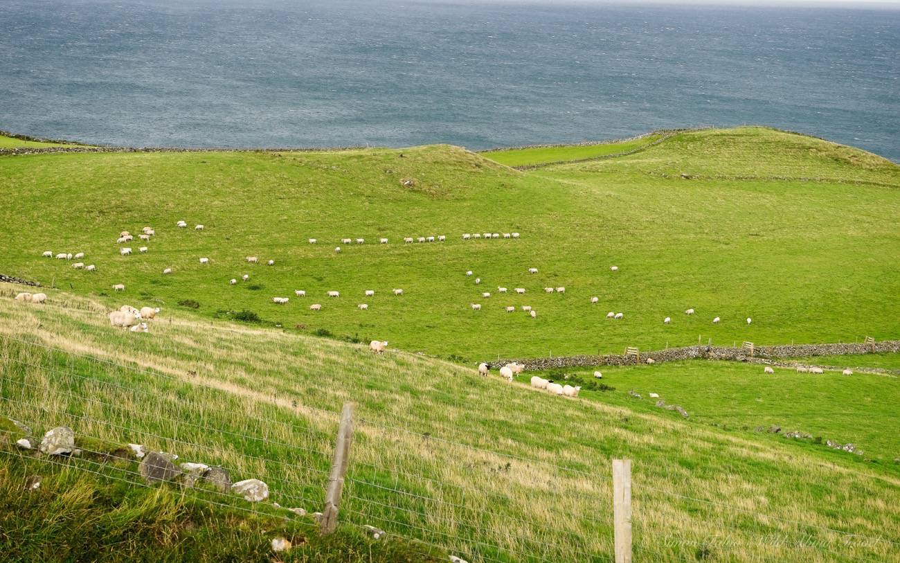 causeway-coastal-route