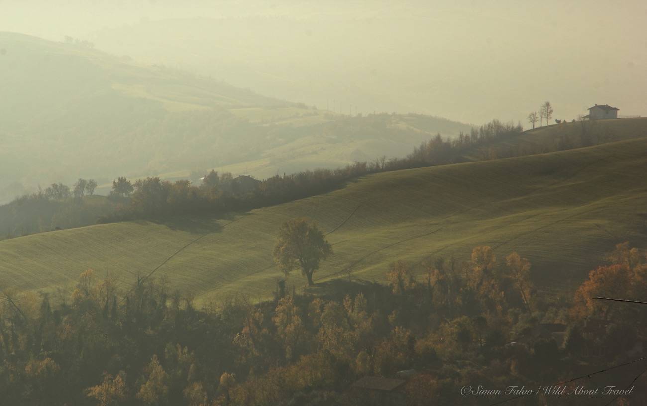 Food Valley Sogliano