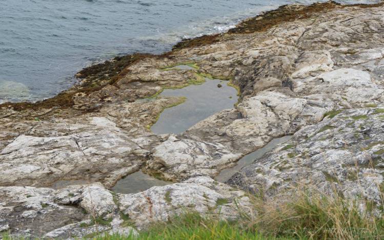 rocks-and-puddle