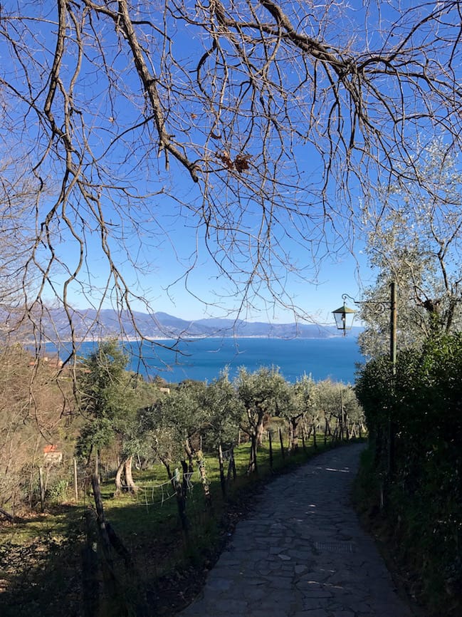 Above Santa Margherita