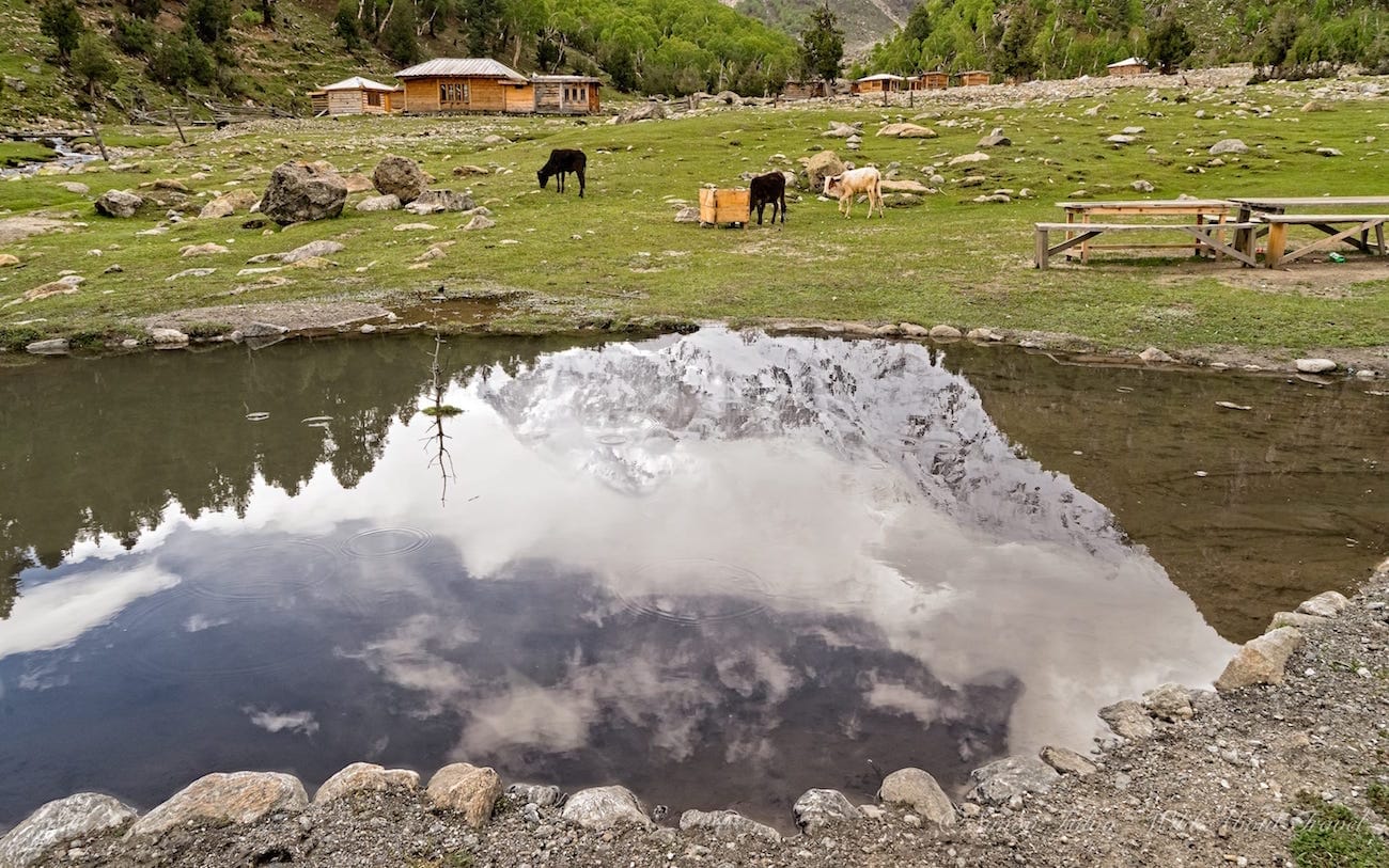 Fairy Meadows, Beyal Camp