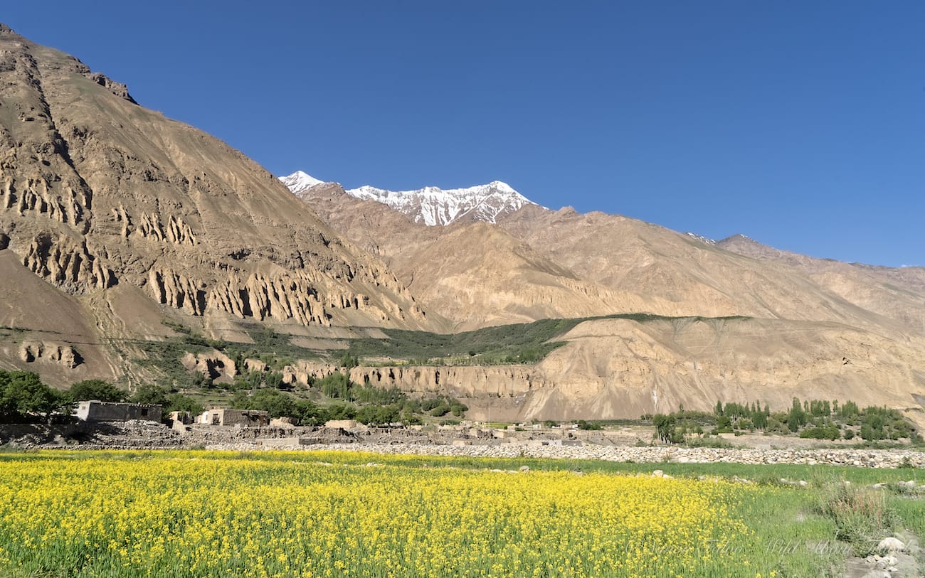 Discovering the Beautiful and Remote Shimshal Valley