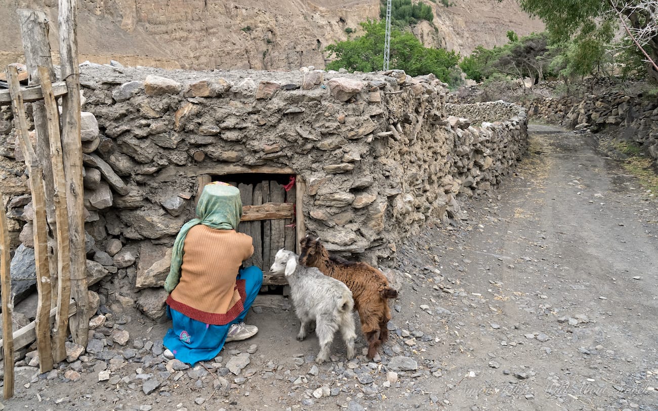 Shimshal Village Life