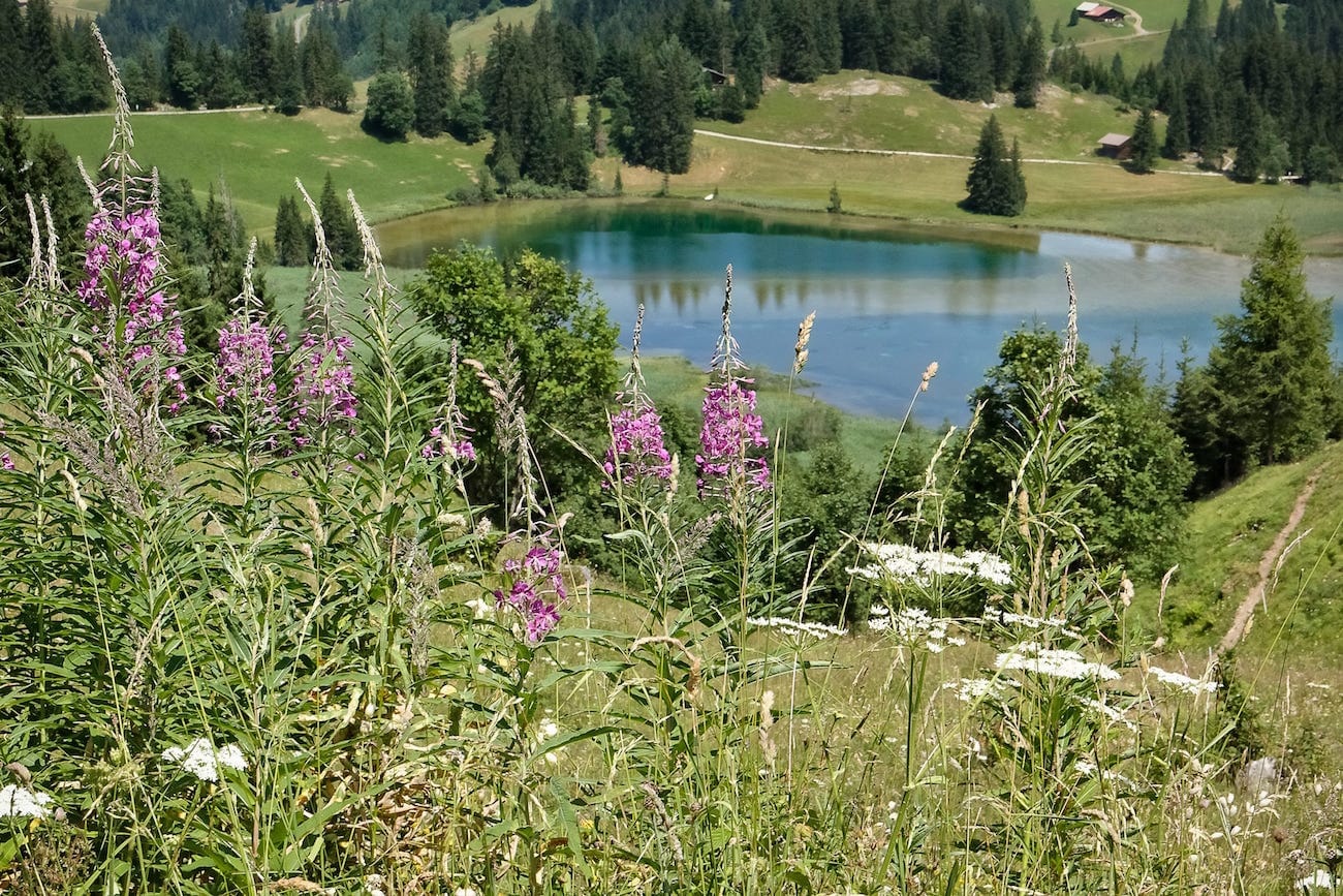 Switzerland - Lauenensee in Summer copy