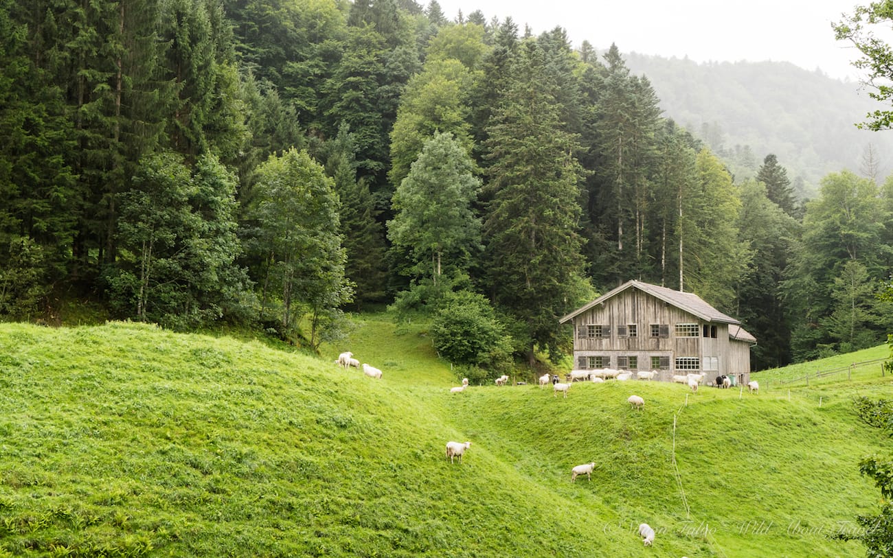 Vorarlberg Bregenzerwald