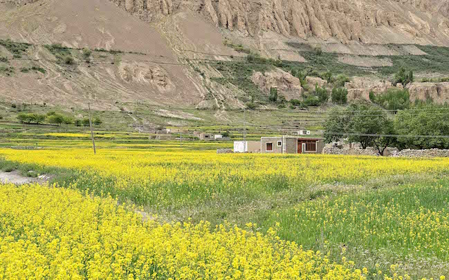 Pakistan, Shimshal Village