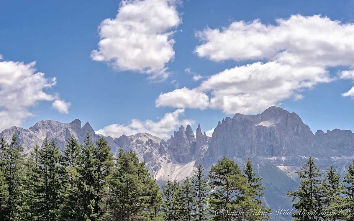 Dolomites, Rosengarten Range