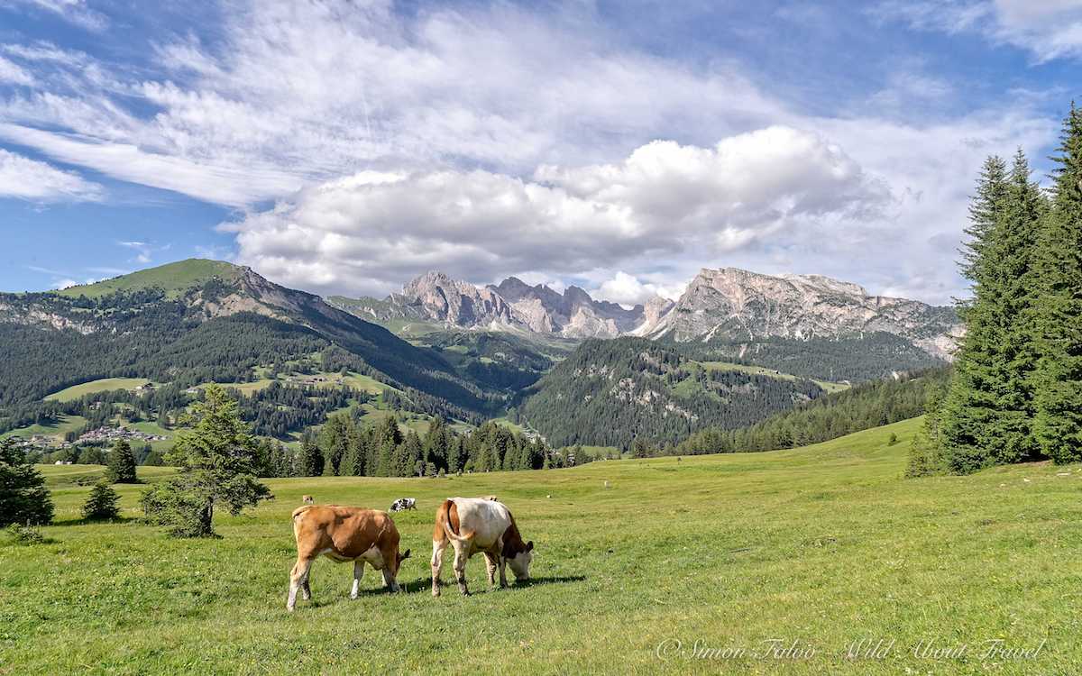 Dolomites, Seiser Alm