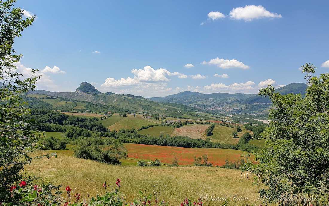 Cammino di San Francesco Rimini La Verna